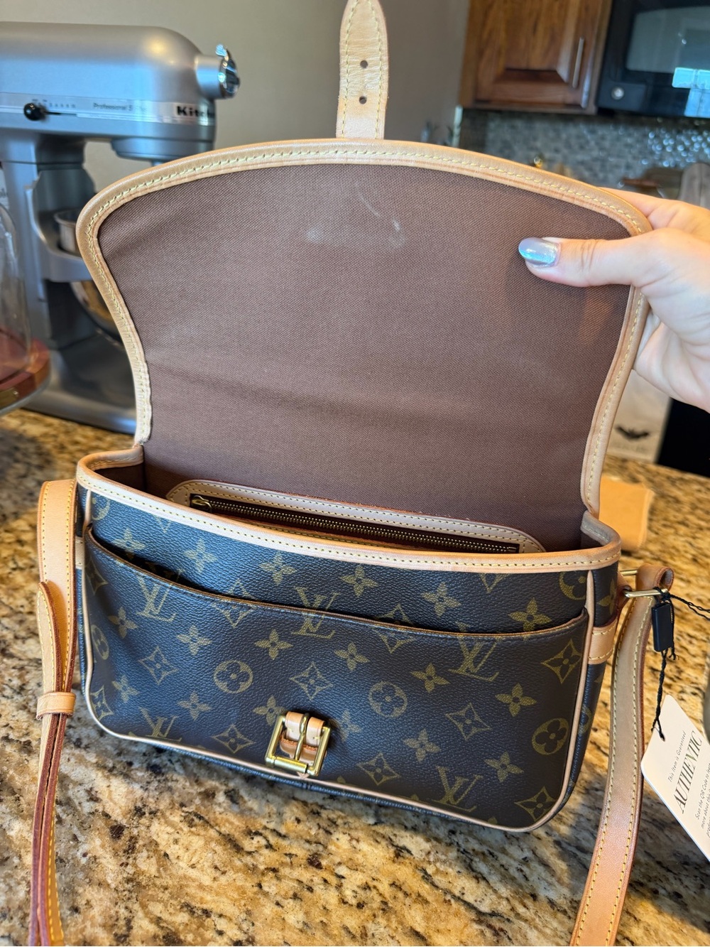 Louis Vuitton Monogram Sologne Crossbody Bag - Picture 11 of 12